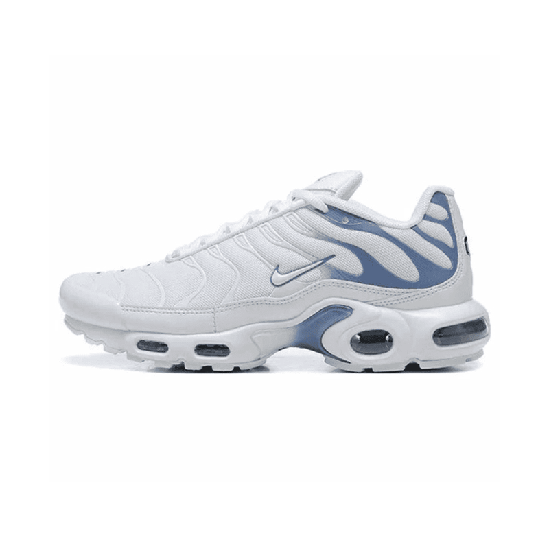 Air Max TN Plus Ashen Slate