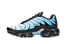 Air Max TN Plus Blue Gradient